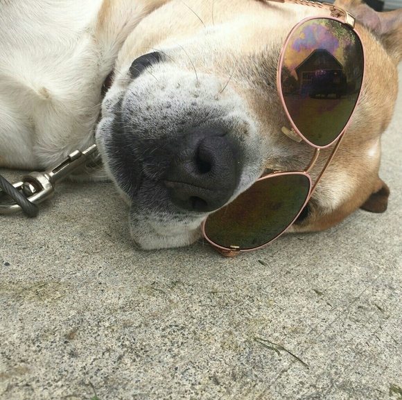 Meet your Posher, B - Picture 1 of 1